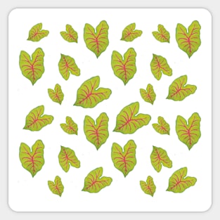 Autumn Beauty Caladium Variety Pattern Sticker